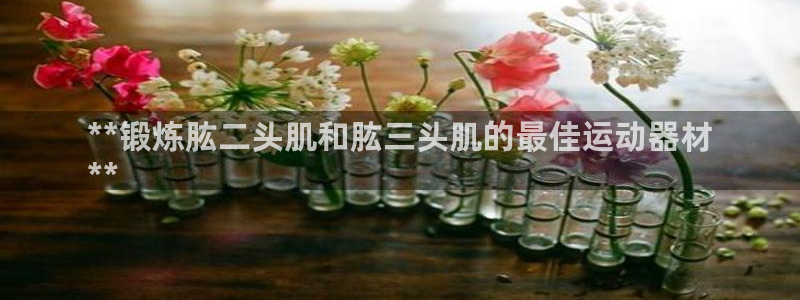 意昂3娱乐网站：**锻炼肱二头肌和肱三头肌的最佳运动