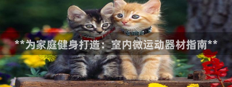 意昂体育3软件：**为家庭健身打造：室内微运动器材指