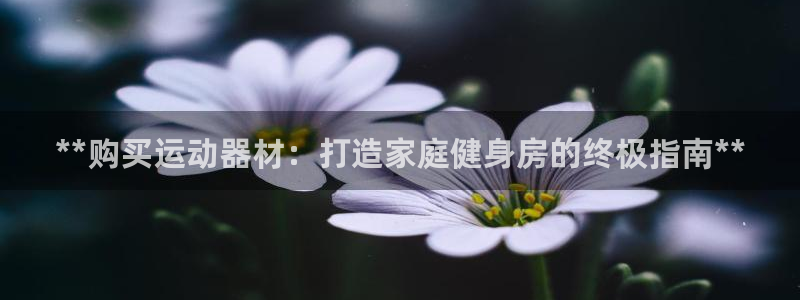 意昂3集团官网首页网址：**购买运动器材：打造家庭健