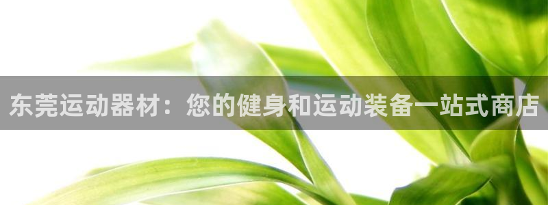 意昂3神州：东莞运动器材：您的健身和运动装备一站式商