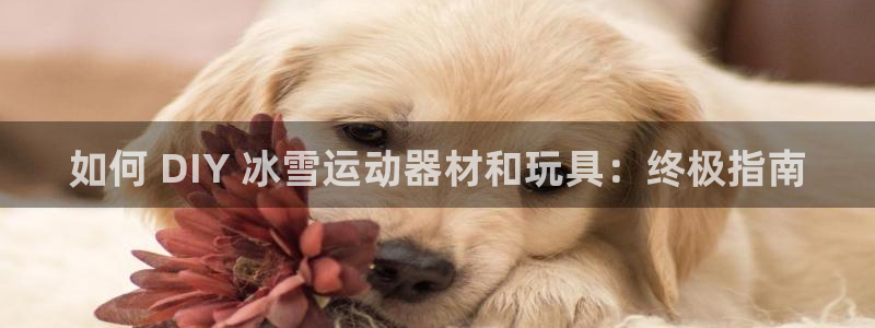 意昂平台体育：如何 DIY 冰雪运动器材和玩具：终极