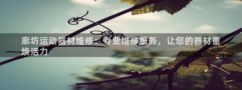 意昂3娱乐40996：廊坊运动器材维修：专业维修服务