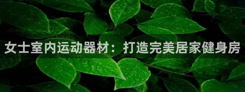意昂体育3平台注册：女士室内运动器材：打造完美居家健