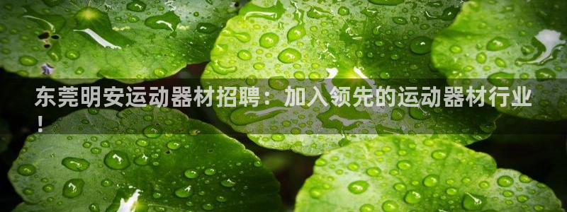 意昂体育3招商电话号码查询：东莞明安运动器材招聘：加