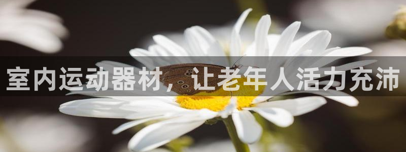 意昂体育3联系电话：室内运动器材，让老年人活力充沛