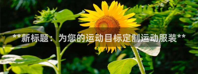 意昂3娱乐下载：**新标题：为您的运动目标定制运动服