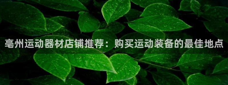 意昂3神州：亳州运动器材店铺推荐：购买运动装备的最佳