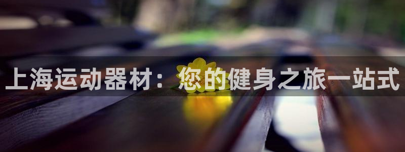 意昂体育3招商电话是多少啊：上海运动器材：您的健身之
