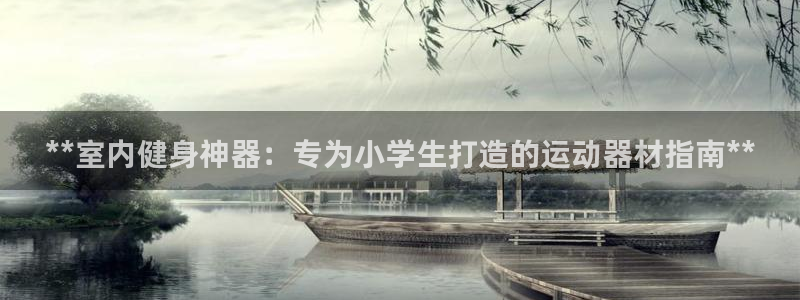 意昂3娱乐：**室内健身神器：专为小学生打造的运动器