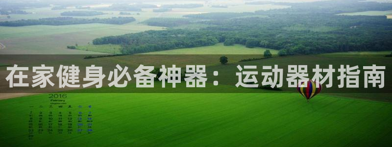 意昂3新能源：在家健身必备神器：运动器材指南