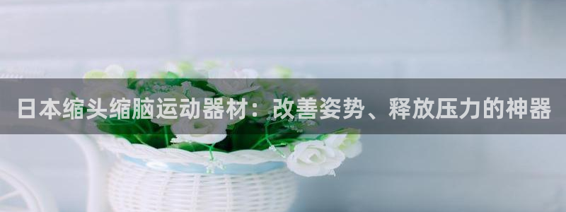 意昂3新能源：日本缩头缩脑运动器材：改善姿势、释放压