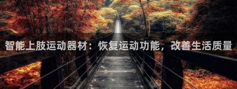 意昂体育3软件：智能上肢运动器材：恢复运动功能，改善