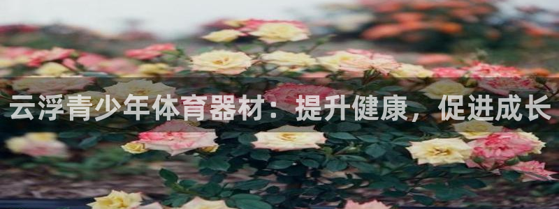 意昂3代理：云浮青少年体育器材：提升健康，促进成长