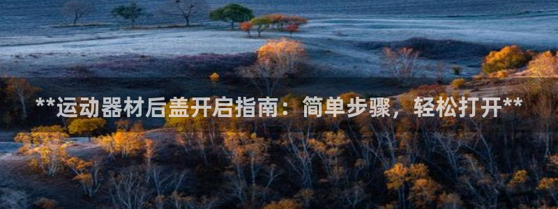意昂3集团简介：**运动器材后盖开启指南：简单步骤，