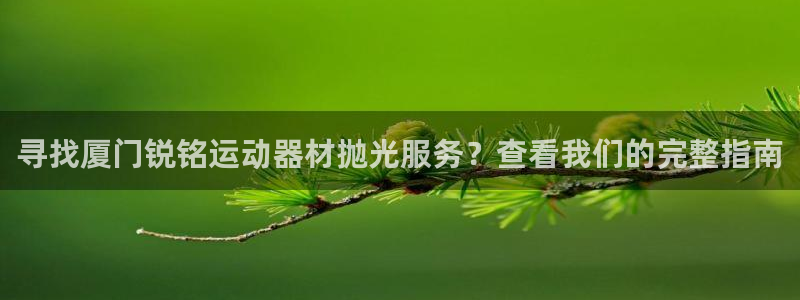 意昂体育3官方客服电话：寻找厦门锐铭运动器材抛光服务