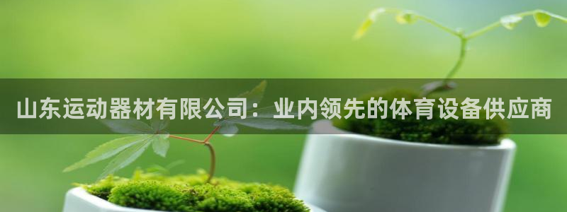 海南意昂体育3发展怎么样：山东运动器材有限公司：业内