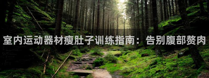 意昂体育3平台是正规平台吗：室内运动器材瘦肚子训练指