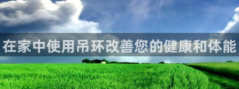 意昂体育3注册：在家中使用吊环改善您的健康和体能