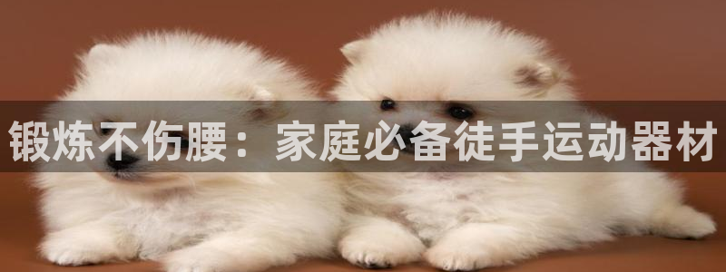 意昂体育3平台注册：锻炼不伤腰：家庭必备徒手运动器材