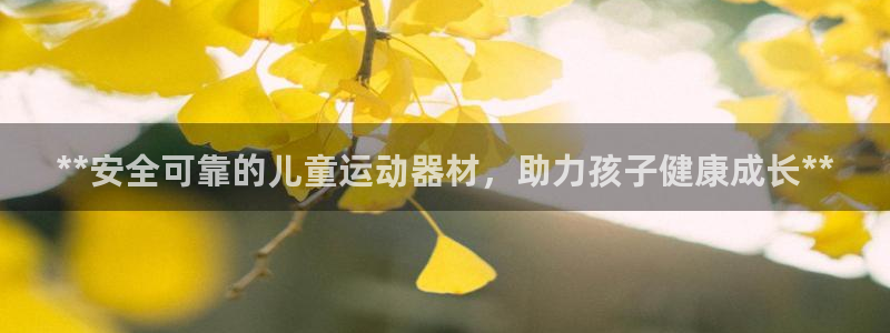 意昂体育3：**安全可靠的儿童运动器材，助力孩子健康