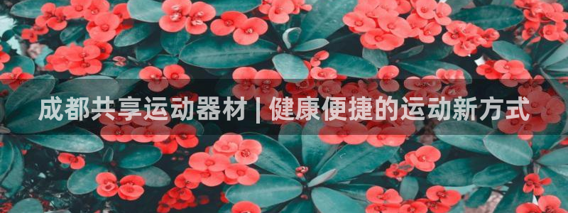 意昂3集团简介：成都共享运动器材 | 健康便捷的运动