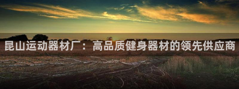 意昂3代理：昆山运动器材厂：高品质健身器材的领先供应