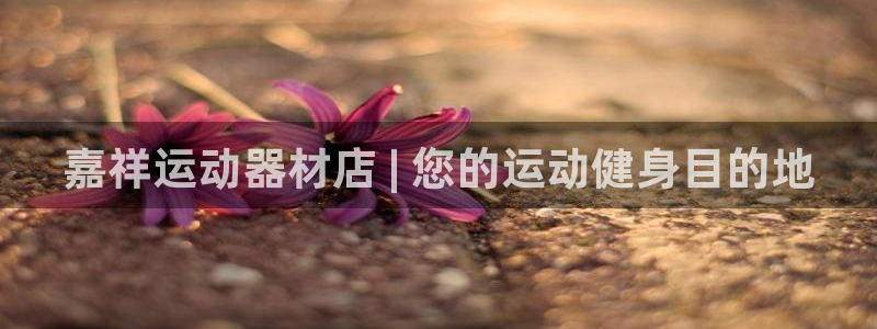 意昂3五金厂：嘉祥运动器材店 | 您的运动健身目的地