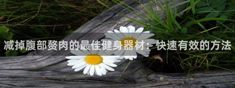 德国意昂3集团：减掉腹部赘肉的最佳健身器材：快速有效