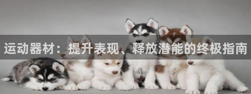 意昂3集团logo：运动器材：提升表现、释放潜能的终