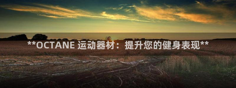 意昂3集团E.ON：**OCTANE 运动器材：提升