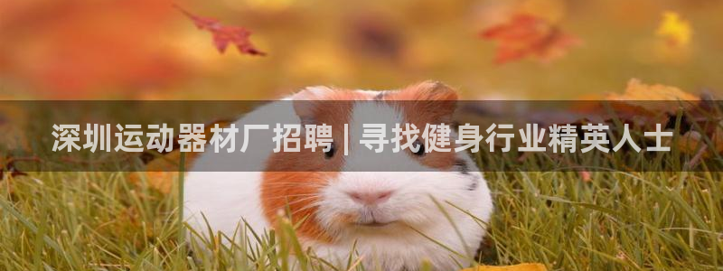 意昂体育3联系电话：深圳运动器材厂招聘 | 寻找健身行业精英