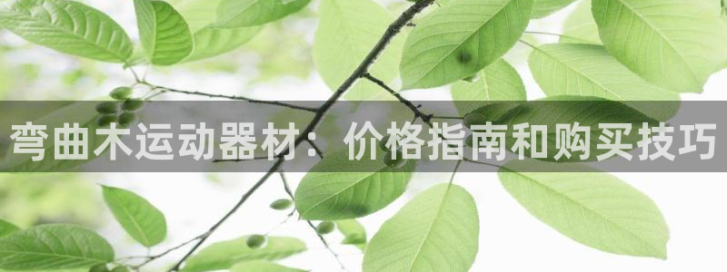 意昂体育3招商电话地址：弯曲木运动器材：价格指南和购