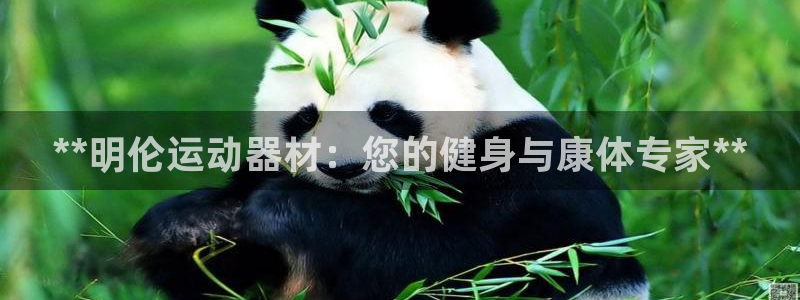 意昂体育3软件：**明伦运动器材：您的健身与康体专家
