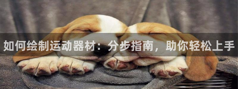 意昂体育3平台APP：如何绘制运动器材：分步指南，助