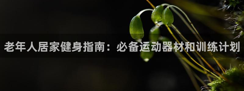 意昂3娱乐平台：老年人居家健身指南：必备运动器材和训
