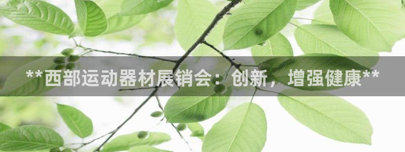海南意昂体育3：**西部运动器材展销会：创新，增强健