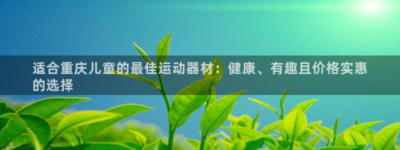 意昂3娱乐代理怎么样：适合重庆儿童的最佳运动器材：健