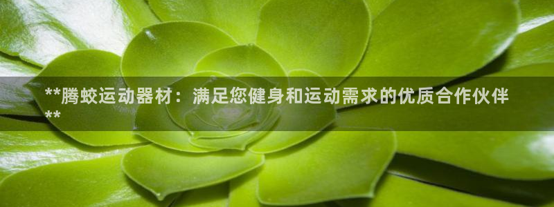 意昂3集团logo：**腾蛟运动器材：满足您健身和运