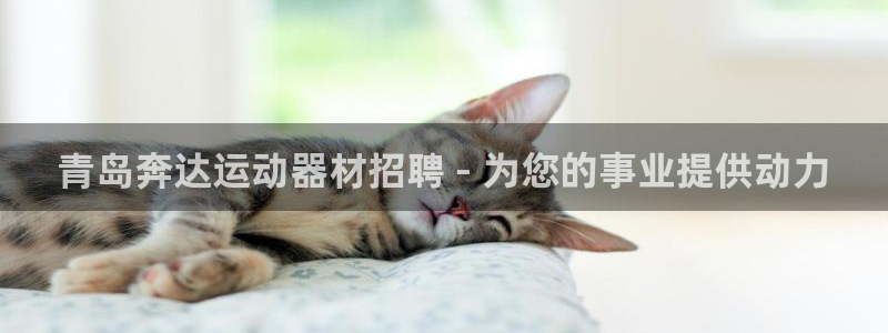 德国意昂3集团：青岛奔达运动器材招聘 - 为您的事业提供动力