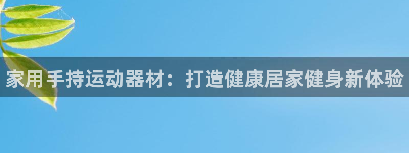 意昂3神州：家用手持运动器材：打造健康居家健身新体验