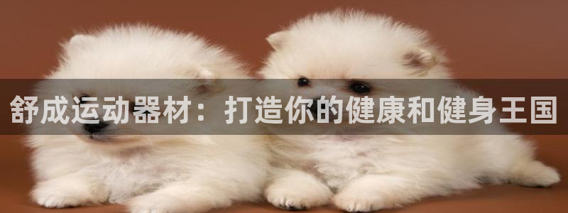意昂3集团：舒成运动器材：打造你的健康和健身王国
