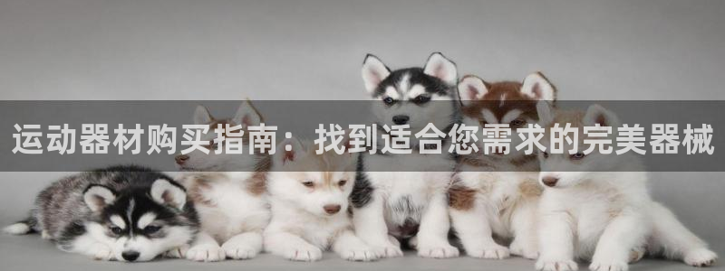 意昂3代理：运动器材购买指南：找到适合您需求的完美器