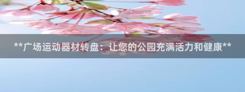 意昂体育3开户：**广场运动器材转盘：让您的公园充满