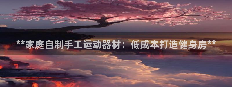 意昂3神州：**家庭自制手工运动器材：低成本打造健身