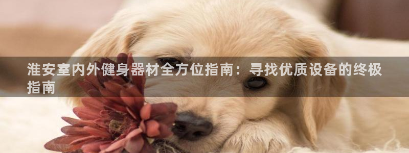 海南意昂体育3：淮安室内外健身器材全方位指南：寻找优