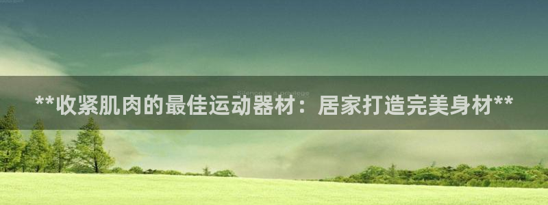 意昂体育3是干嘛的公司：**收紧肌肉的最佳运动器材：居家打造