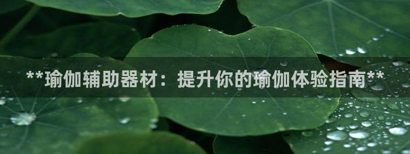 意昂3代理：**瑜伽辅助器材：提升你的瑜伽体验指南**
