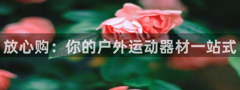 德国意昂3集团：放心购：你的户外运动器材一站式