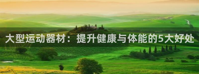 意昂3新能源：大型运动器材：提升健康与体能的5大好处
