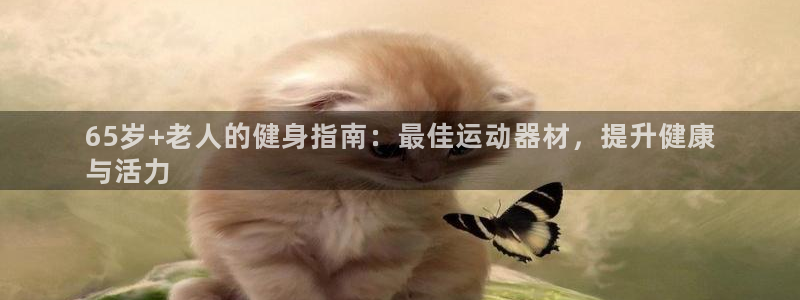 意昂体育3平台注册要钱吗安全吗：65岁+老人的健身指南：最佳